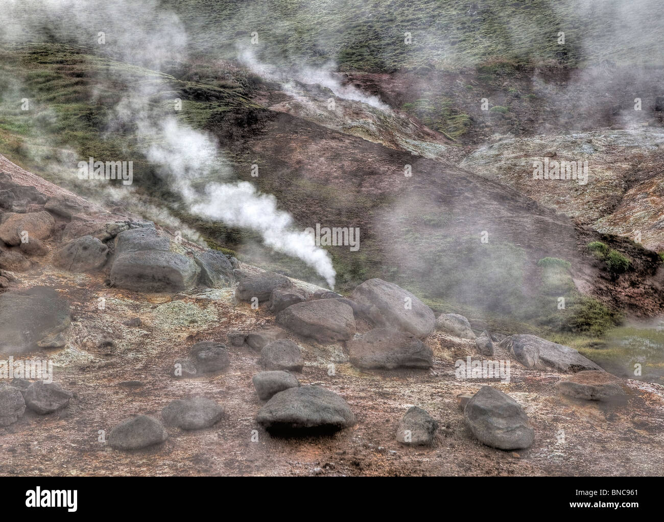 Geothermische Thermalquellen dämpfen, South Coast, Island Stockfoto