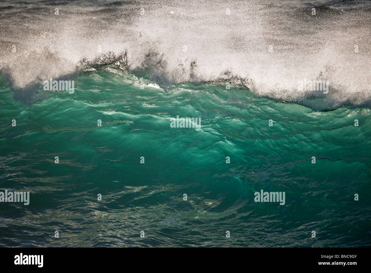 Nord-Atlantik, Island Stockfoto