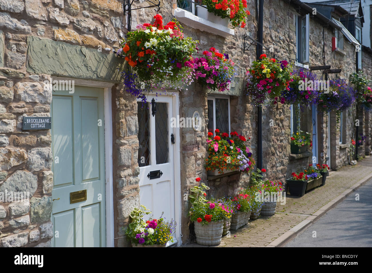 Malerische Reihe von terrassenförmig angelegten Bungalows mit hängenden Körben außerhalb in Hay-on-Wye Powys Wales UK Stockfoto