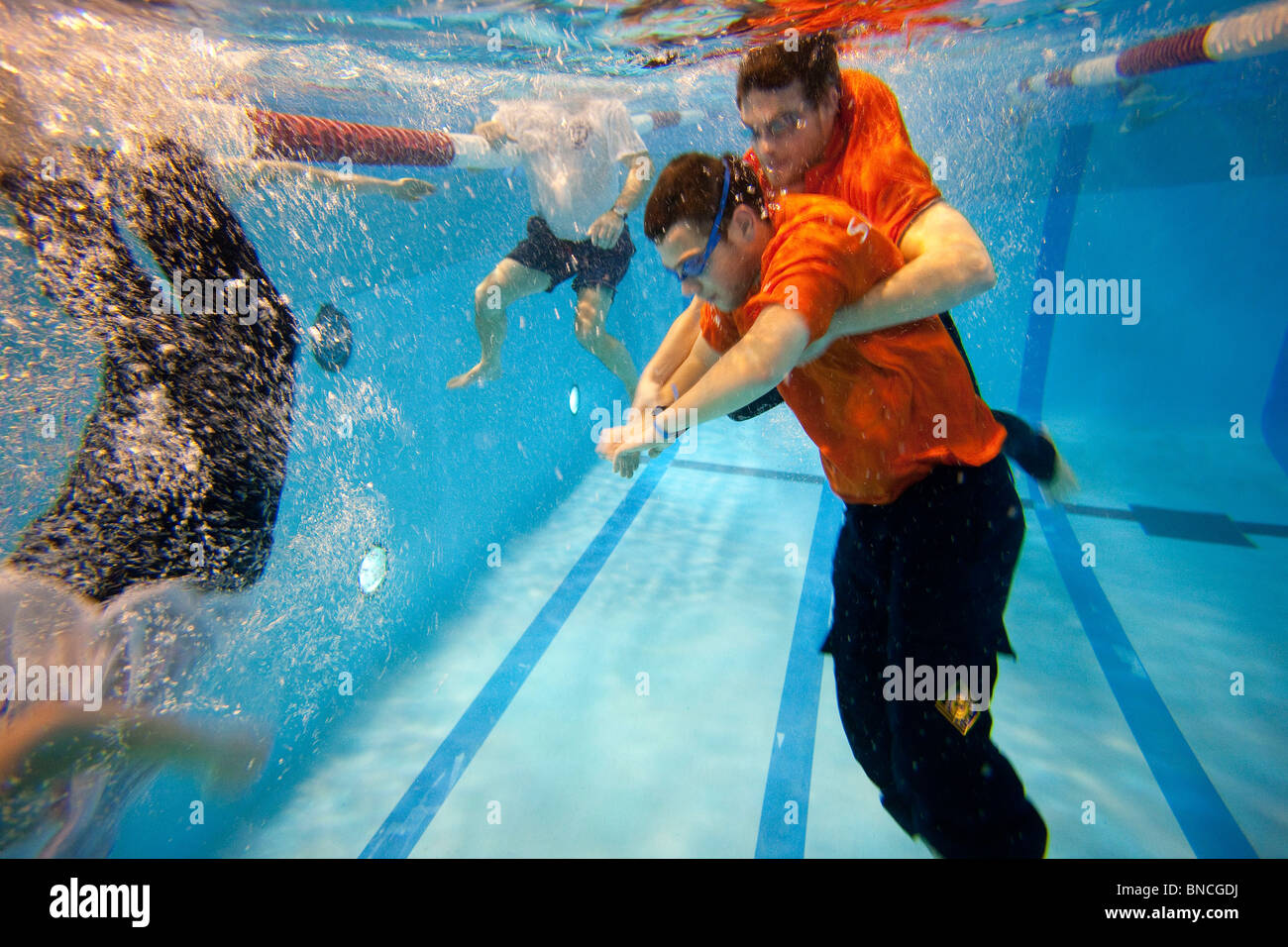 Ausbildung von "SNSM" Rettungsschwimmer (französisches Äquivalent der RNLI in UK) in einem Schwimmbad; Praxis Stockfoto