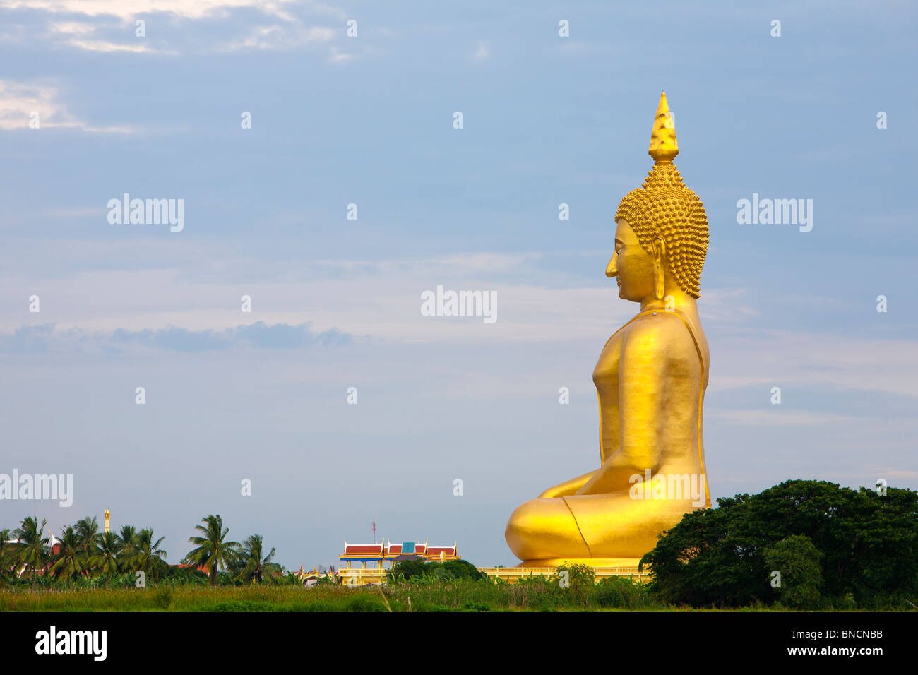 Größte Buddha-Statue der Welt, Wat Muaeng, Ang Thong, Thailand Stockfoto