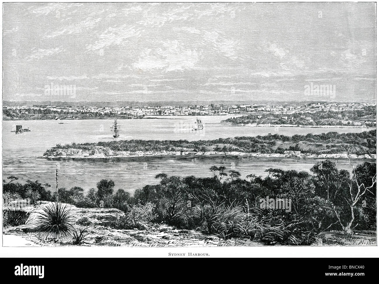 Eine Gravur des Hafens von Sydney, New South Wales, Australien - veröffentlicht in einem Buch, gedruckt im Jahre 1886. Stockfoto