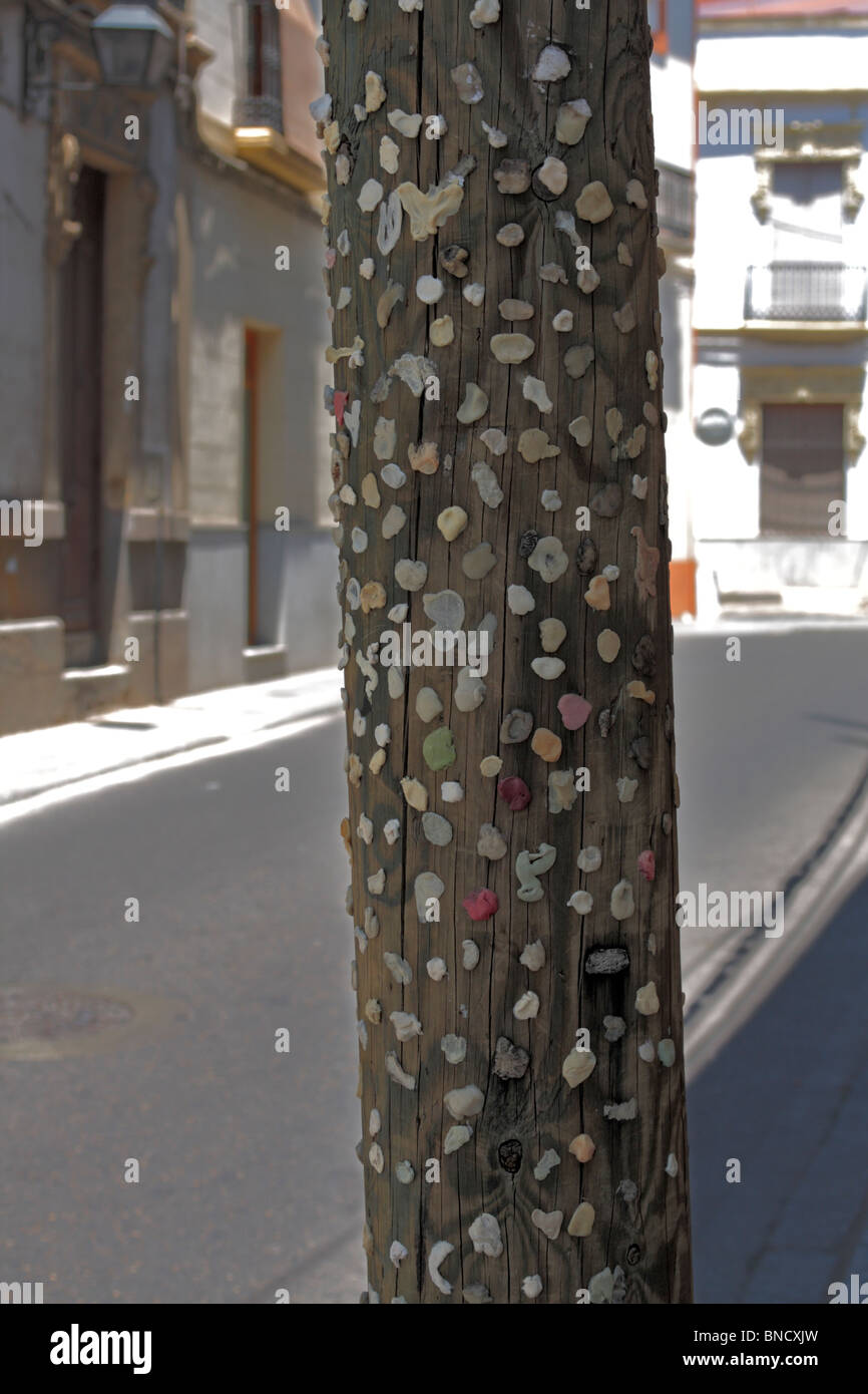 Kaugummi auf einen Telegrafenmast in Cordoba Andalusien Spanien Europa geklebt Stockfoto