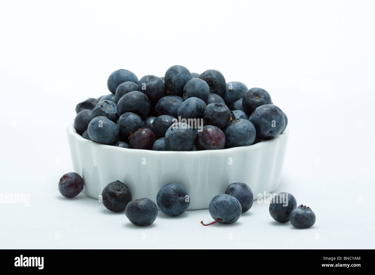 Heidelbeeren in eine weiße Töpfchen. Stockfoto