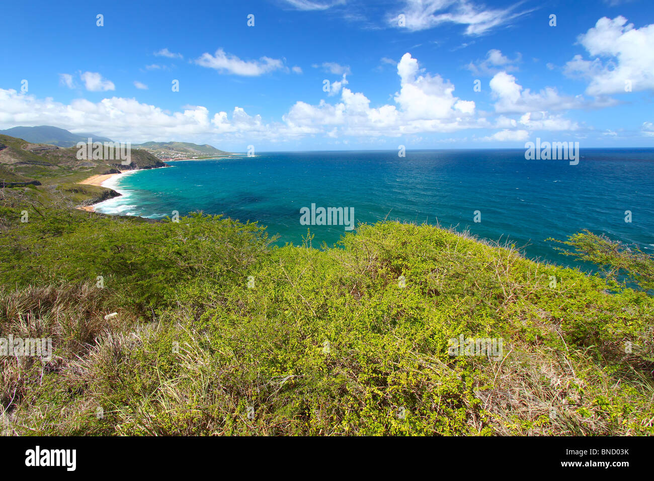 Küste von St. Kitts Stockfoto