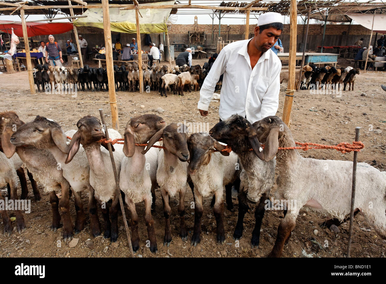 Sonntag Markt, Kashgar, Provinz Xinjiang, China Stockfoto