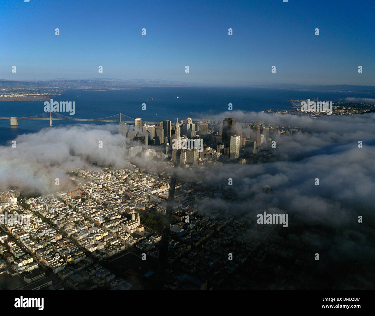 Luftaufnahme über dem Nebel Columbus Avenue Transamerica Pyramide San Francisco Kalifornien Stockfoto