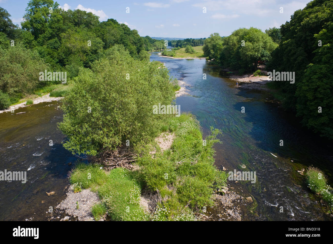 Fluss Wye Blick flussabwärts von der Brücke bei Hay-on-Wye Powys Wales UK Stockfoto