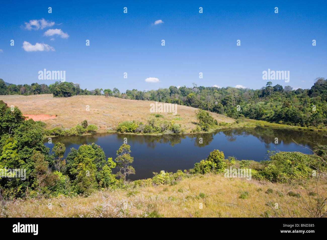 Blick auf ein Wasserloch im Nationalpark Khao Yai, Thailand Stockfoto