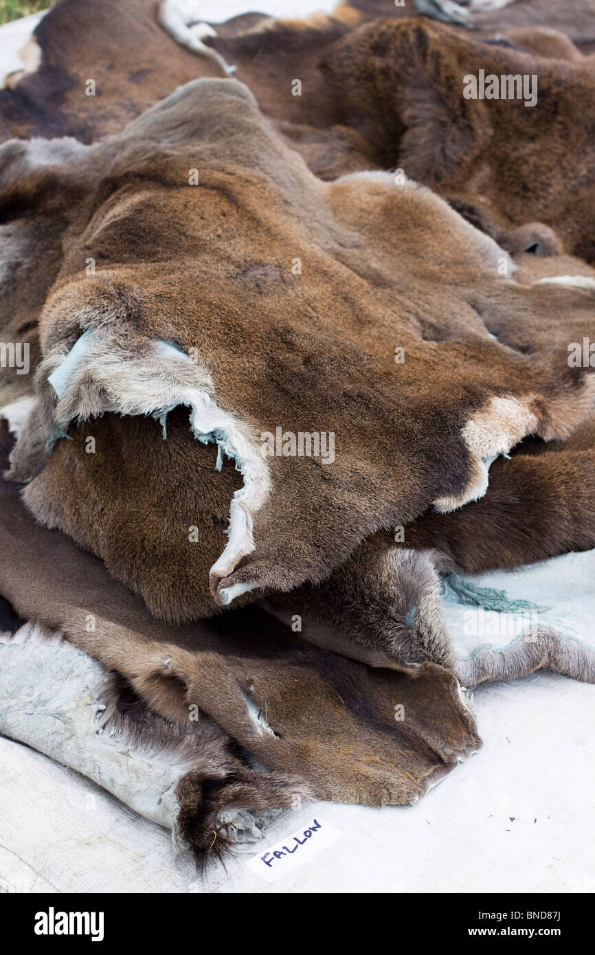 Pelz und Leder an der Schlacht von Tewksbury mittelalterlichen reenactment Stockfoto