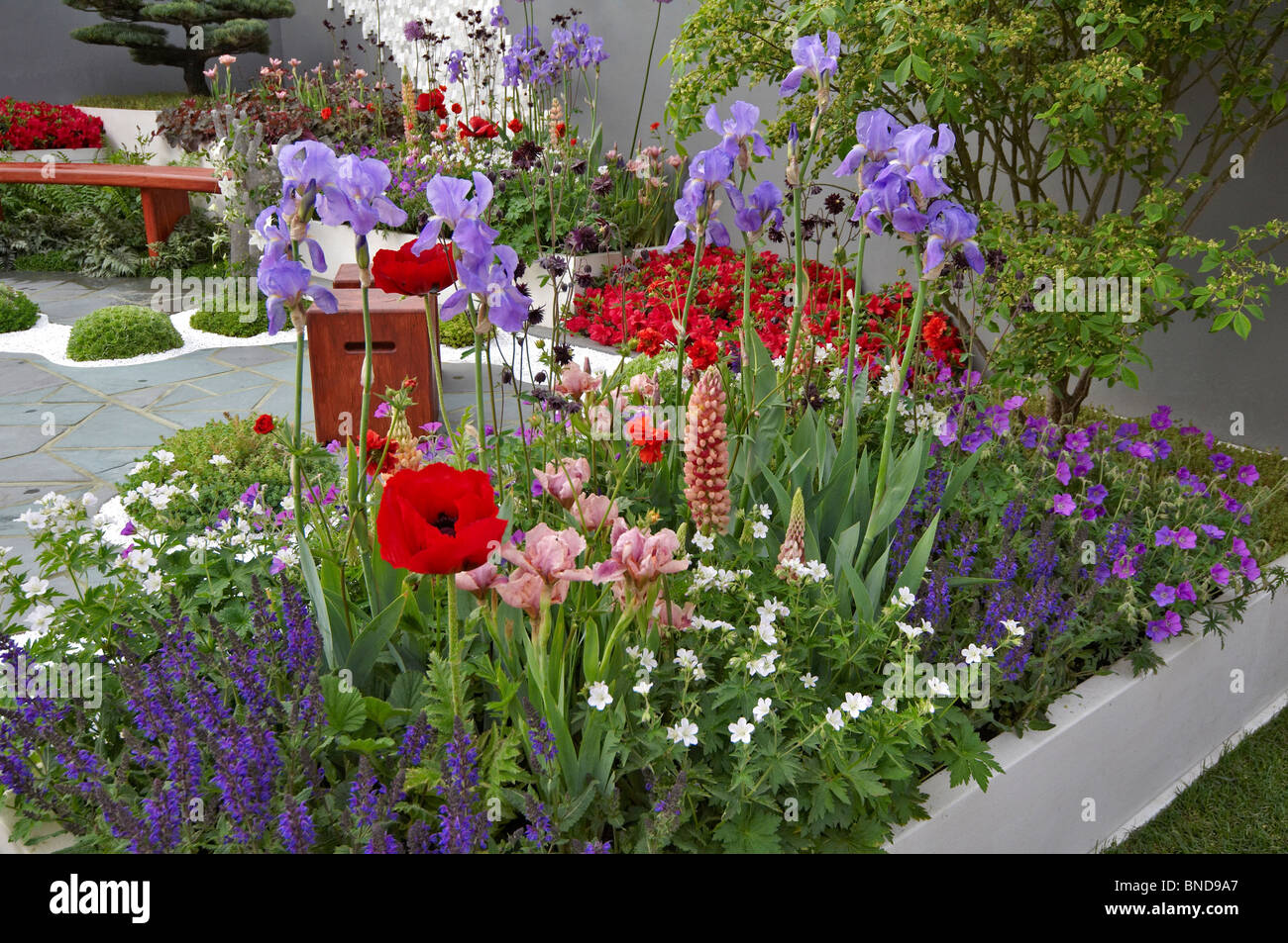 Eine moderne ruhige Dachterrasse Platz in einem städtischen Garten im japanischen Zen-Stil erstellt Stockfoto