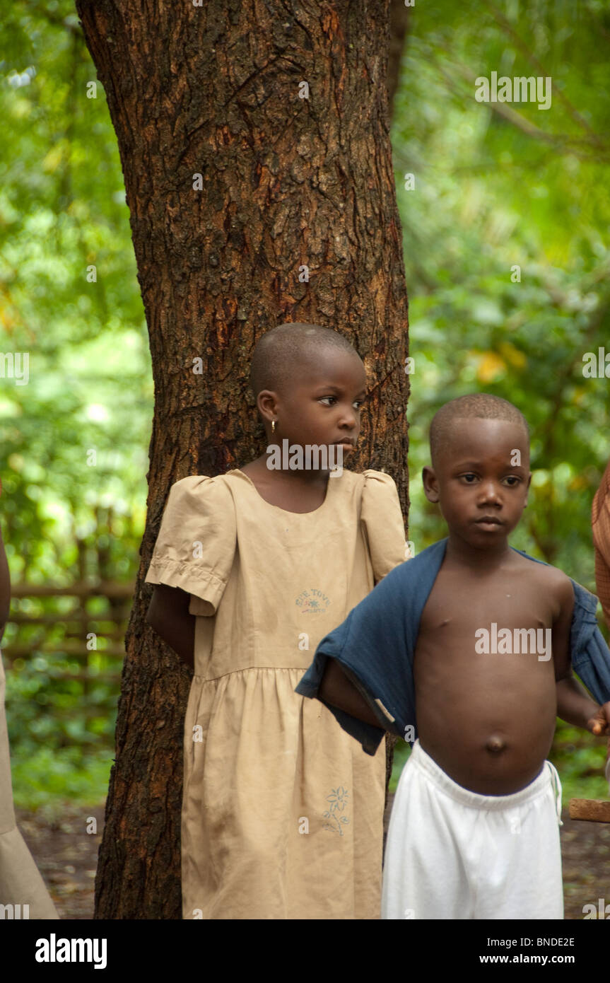 Afrika, Togo, Kpalime Tal. Togoische Bauerndorf, einheimische Kinder. Stockfoto