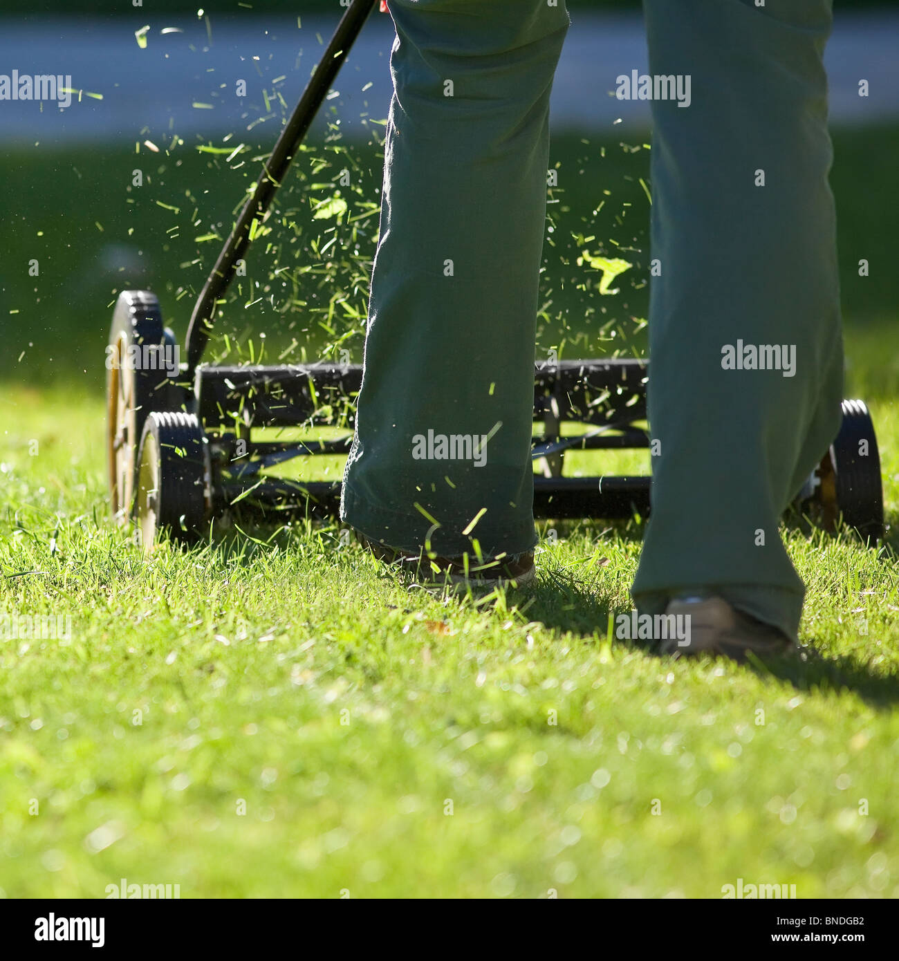 Mäht Rasen mit einer umweltfreundlichen Rasenmäher. Stockfoto