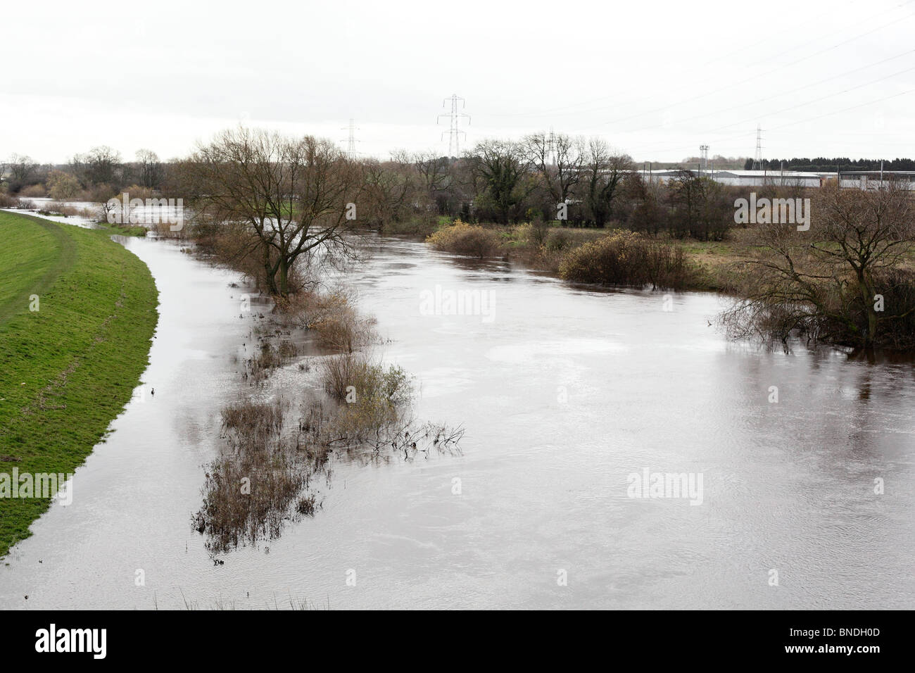 Überschwemmungen in York, Yorkshire, Großbritannien, November 2009 Stockfoto