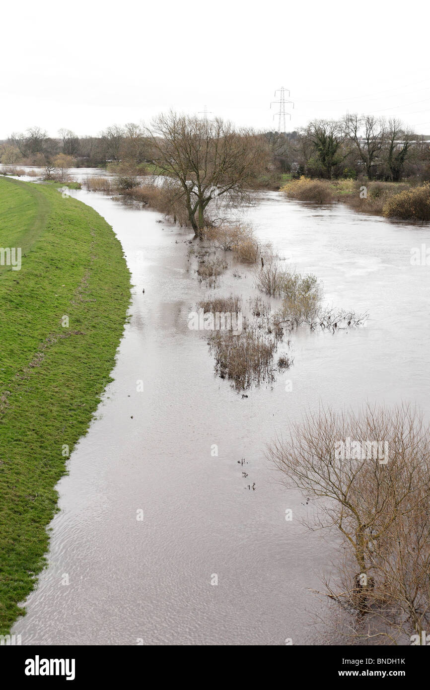 Überschwemmungen in York, Yorkshire, Großbritannien, November 2009 Stockfoto