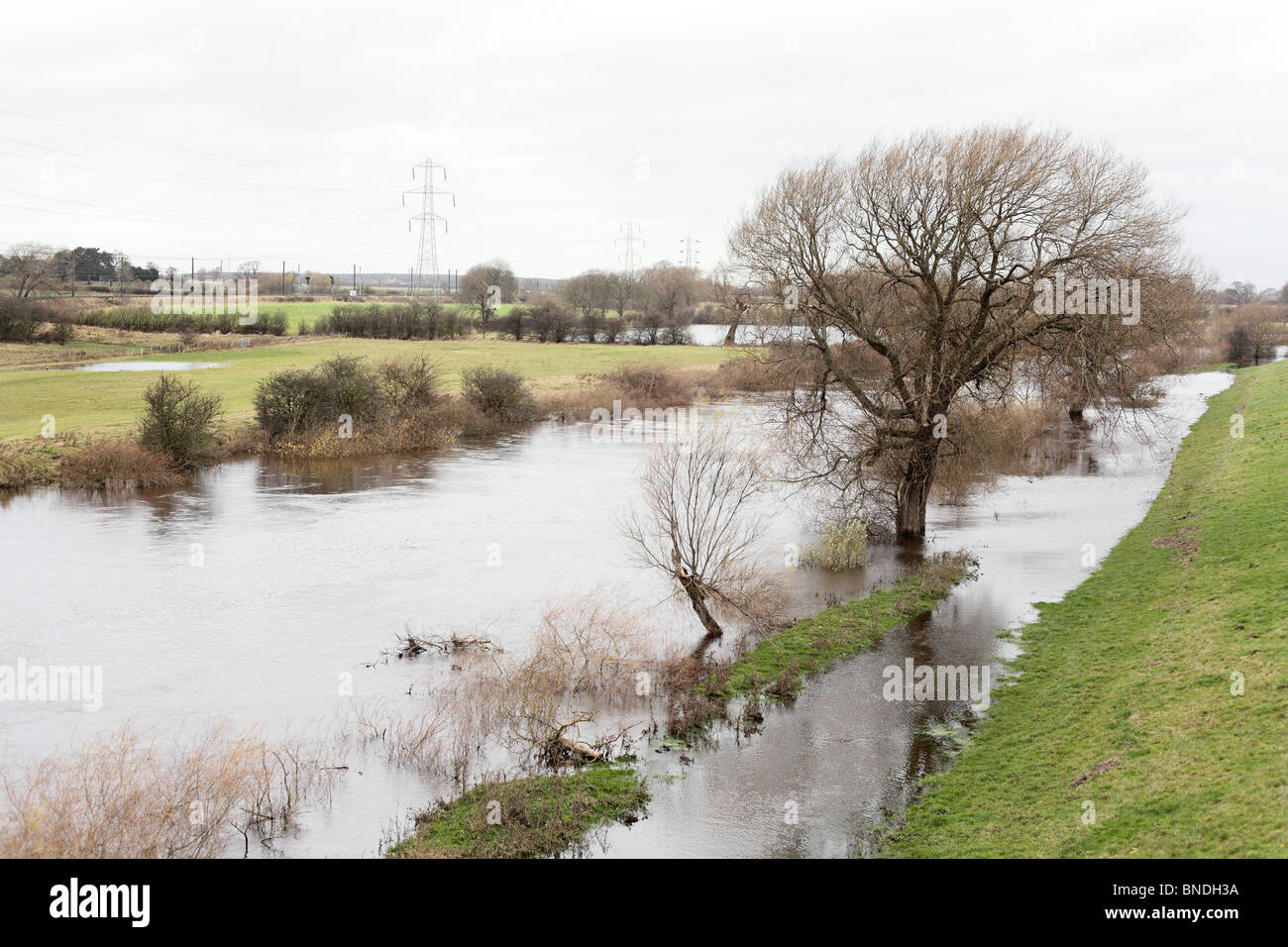 Überschwemmungen in York, Yorkshire, Großbritannien, November 2009 Stockfoto
