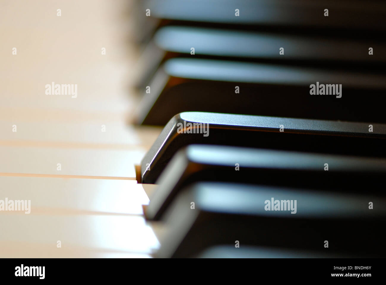 Makro-Bild des Klavier-Tastatur Stockfoto