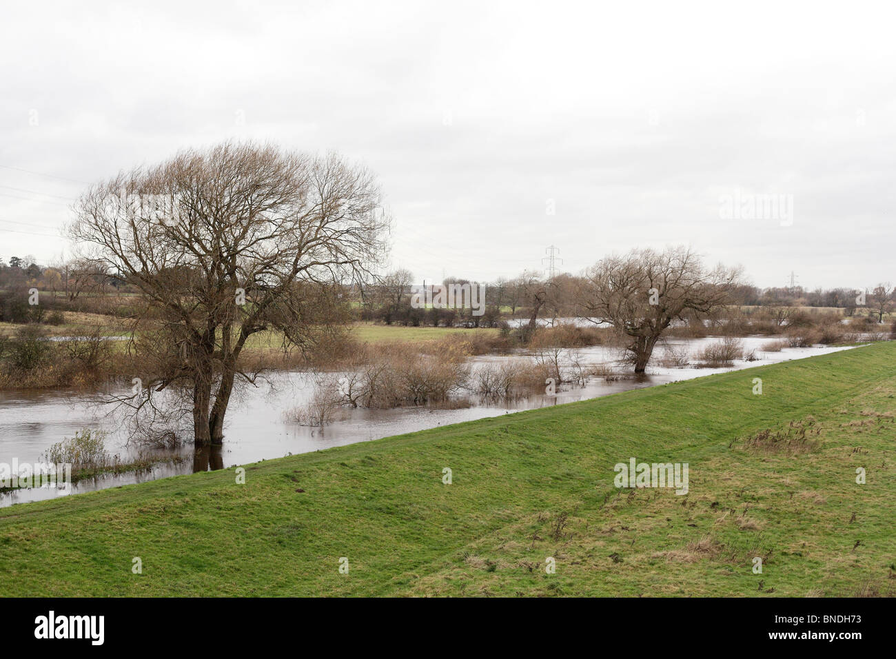 Überschwemmungen in York, Yorkshire, Großbritannien, November 2009 Stockfoto