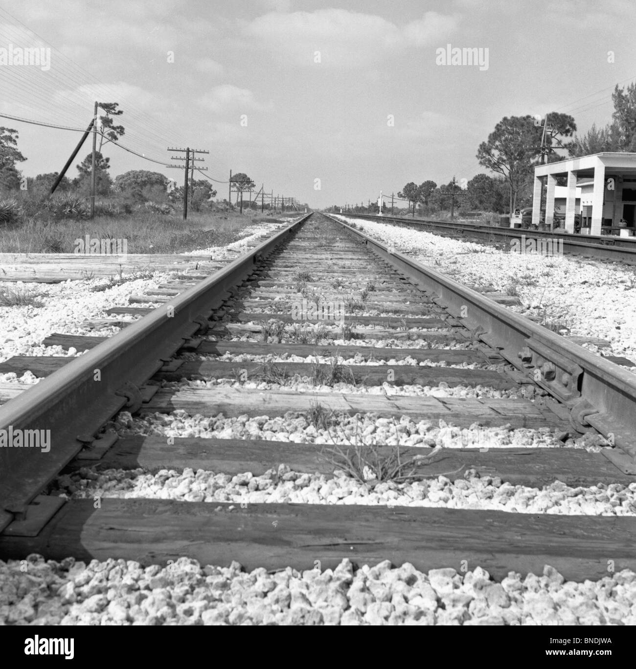 Eisenbahnschienen durch eine Landschaft Stockfoto