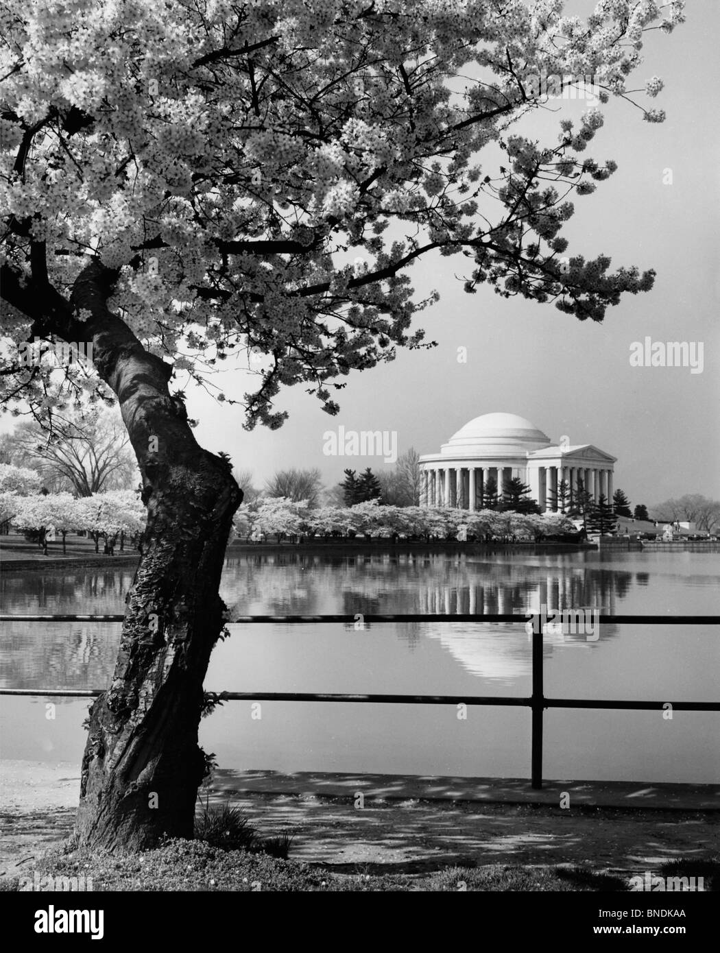 Reflexion eines Gebäudes in Wasser, Jefferson Memorial, Washington DC, USA Stockfoto