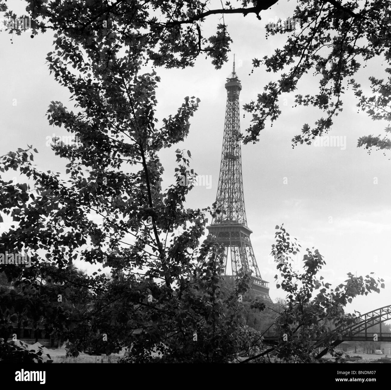 Eiffelturm Paris Frankreich Stockfoto