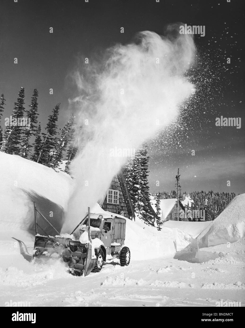 Pflug auf einer Straße, Mount Rainier National Park, Washington State, USA Stockfoto