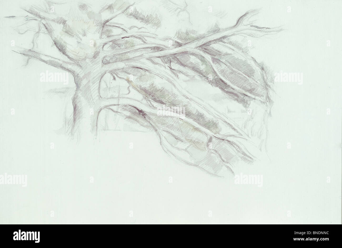 Le Grand Arbe von Paul Cezanne, Zeichnung, (1839-1906) Stockfoto