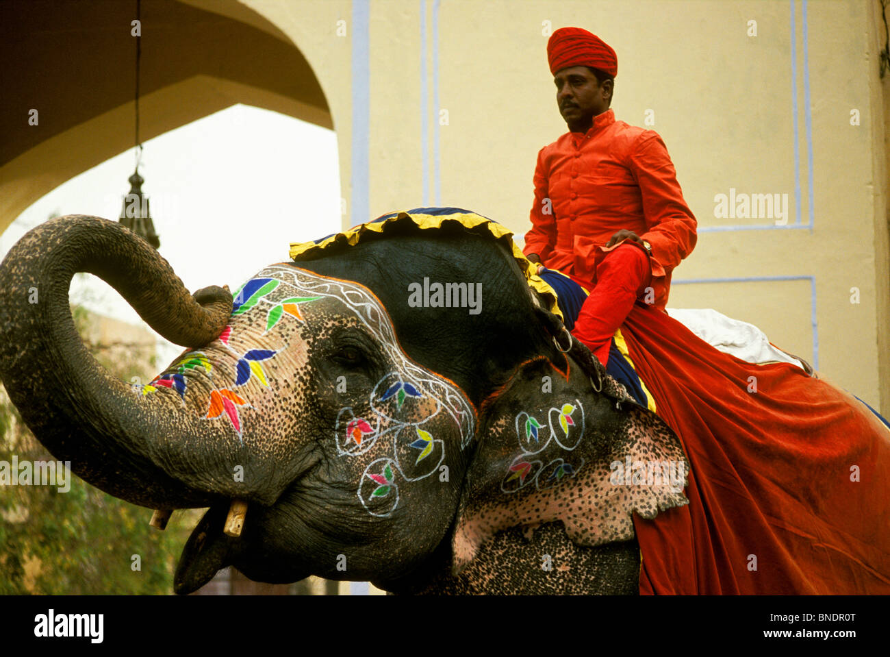 Elefant und Mahout an die Gangaur Festival, Jaipur, Rajasthan, Indien Stockfoto