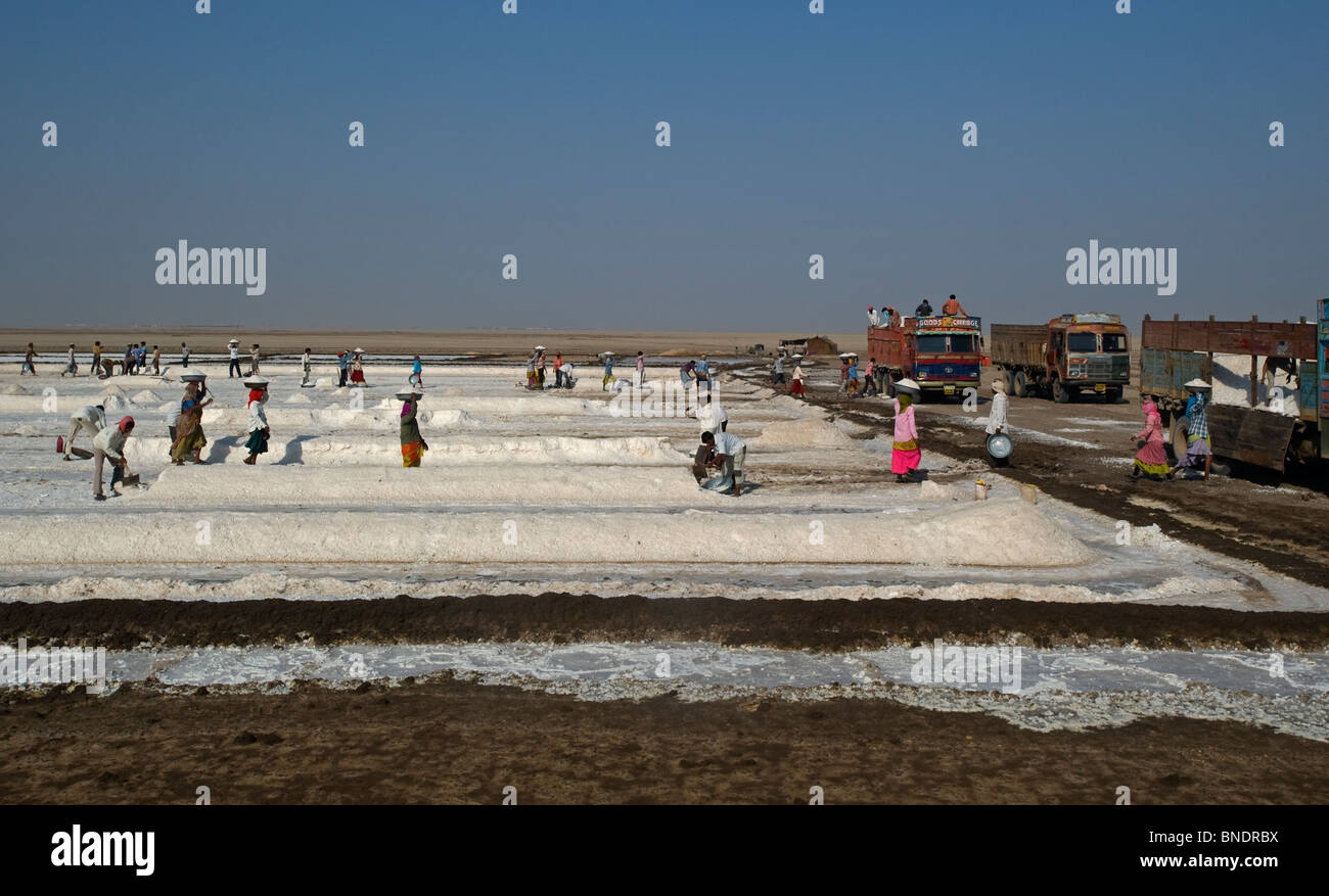 Arbeitnehmer in Salinen von kleinen Rann von Khachch Gujarat Indien Stockfoto