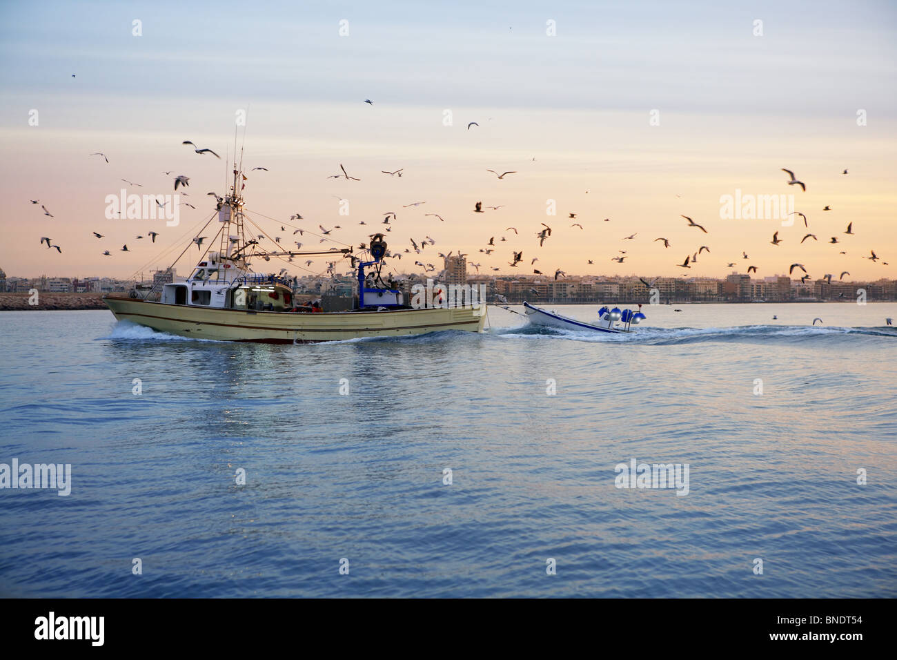 professionelle Fischerboot und Seagull Einschalten wieder Hafen Sonnenuntergang Sonnenaufgang Stockfoto