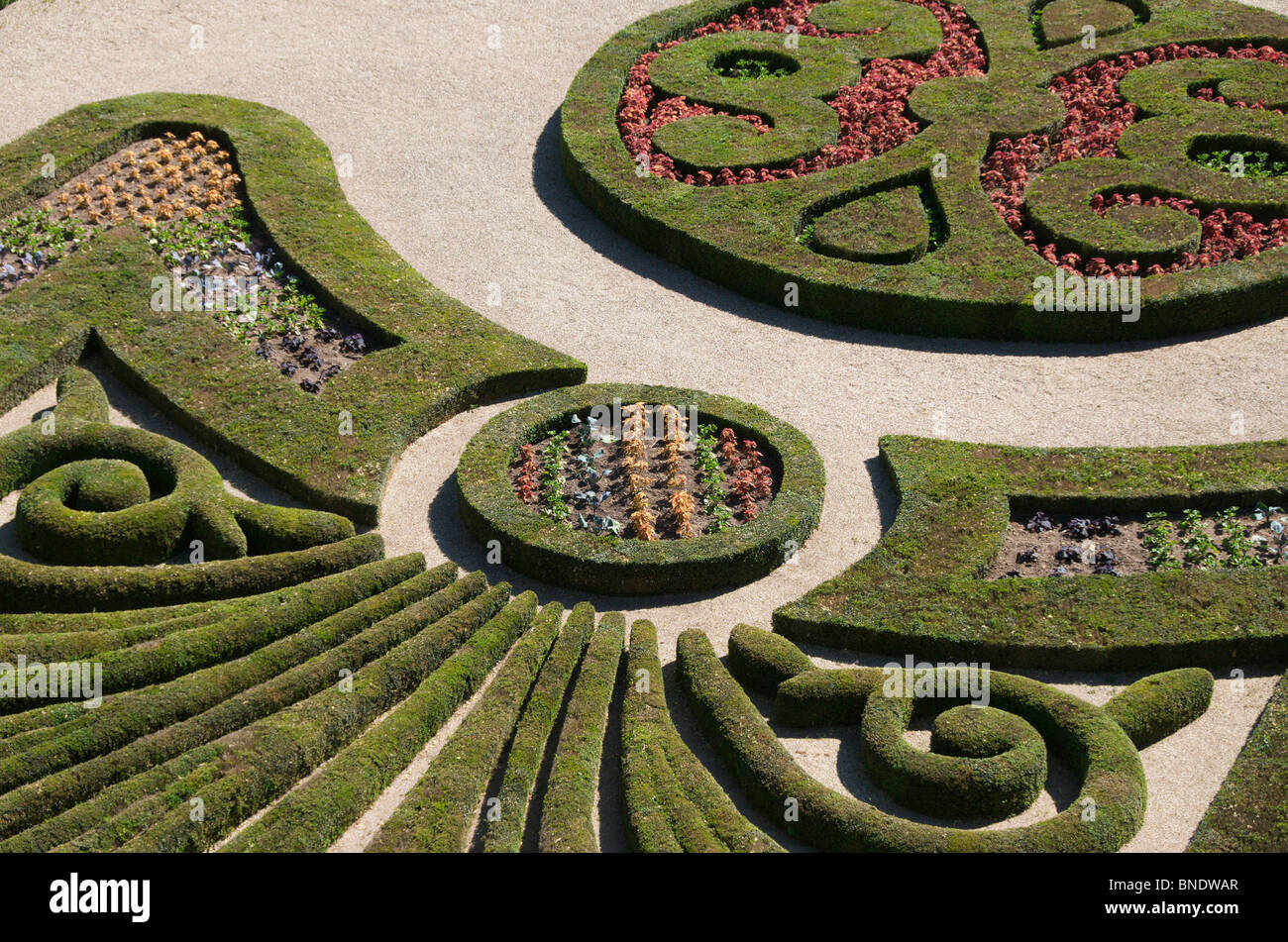 Albi. Berbie Palace Gärten . Tarn-Abteilung. Occitanie. Frankreich Stockfoto