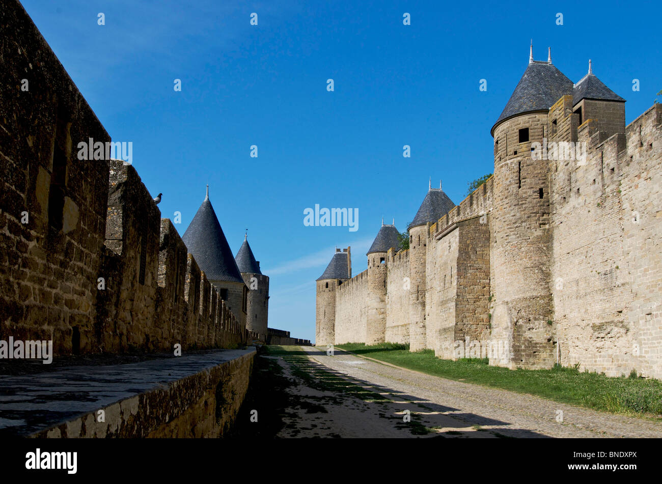 Die Burg von Carcassonne, Aude, Frankreich, Europa Stockfoto