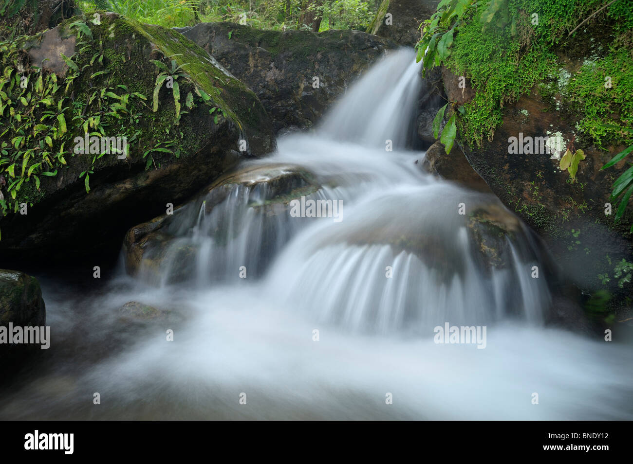 Fließendes Wasser in einem Bach im Abschnitt Injesuthi des Drakensberg Ukhahlamba National Park in Kwazulu Natal, Südafrika Stockfoto