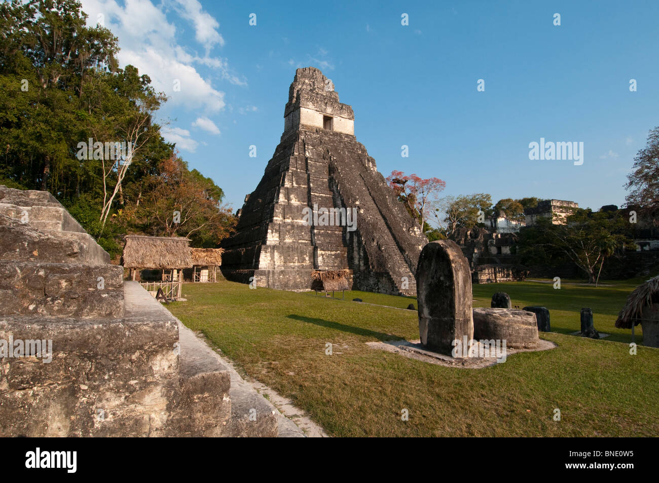 Fassade eines Tempels, Tikal Tempel I, Tikal Nationalpark Tikal, Guatemala Stockfoto