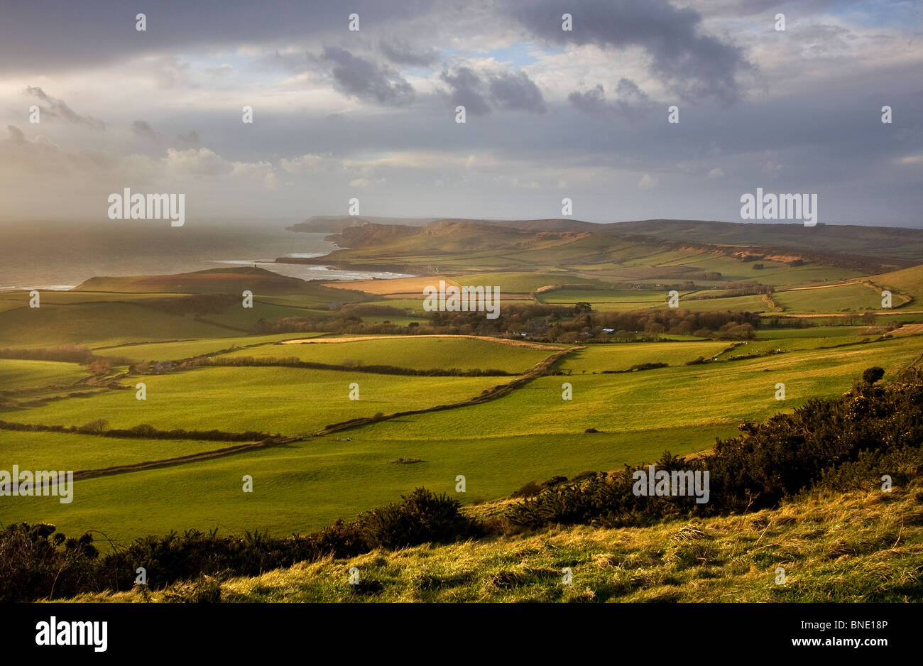 Stürmischer Tag in Swyre Head, Jurassic Coast, Dorset, Großbritannien Stockfoto