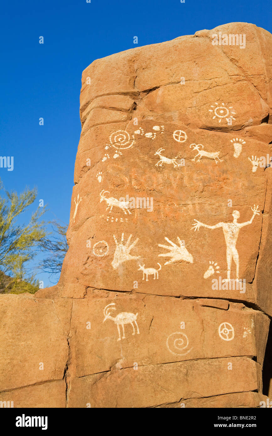 Petroglyphen auf einem Felsen, Tucson, Pima County, Arizona, USA Stockfoto