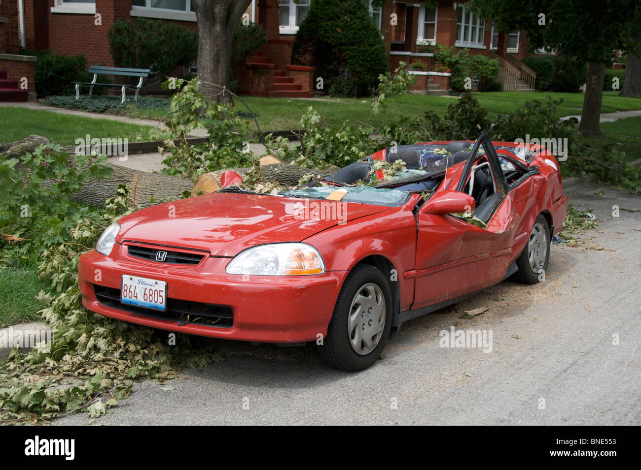 Honda Civic durch umgestürzter Baum nach Sturm zerstört. Stockfoto