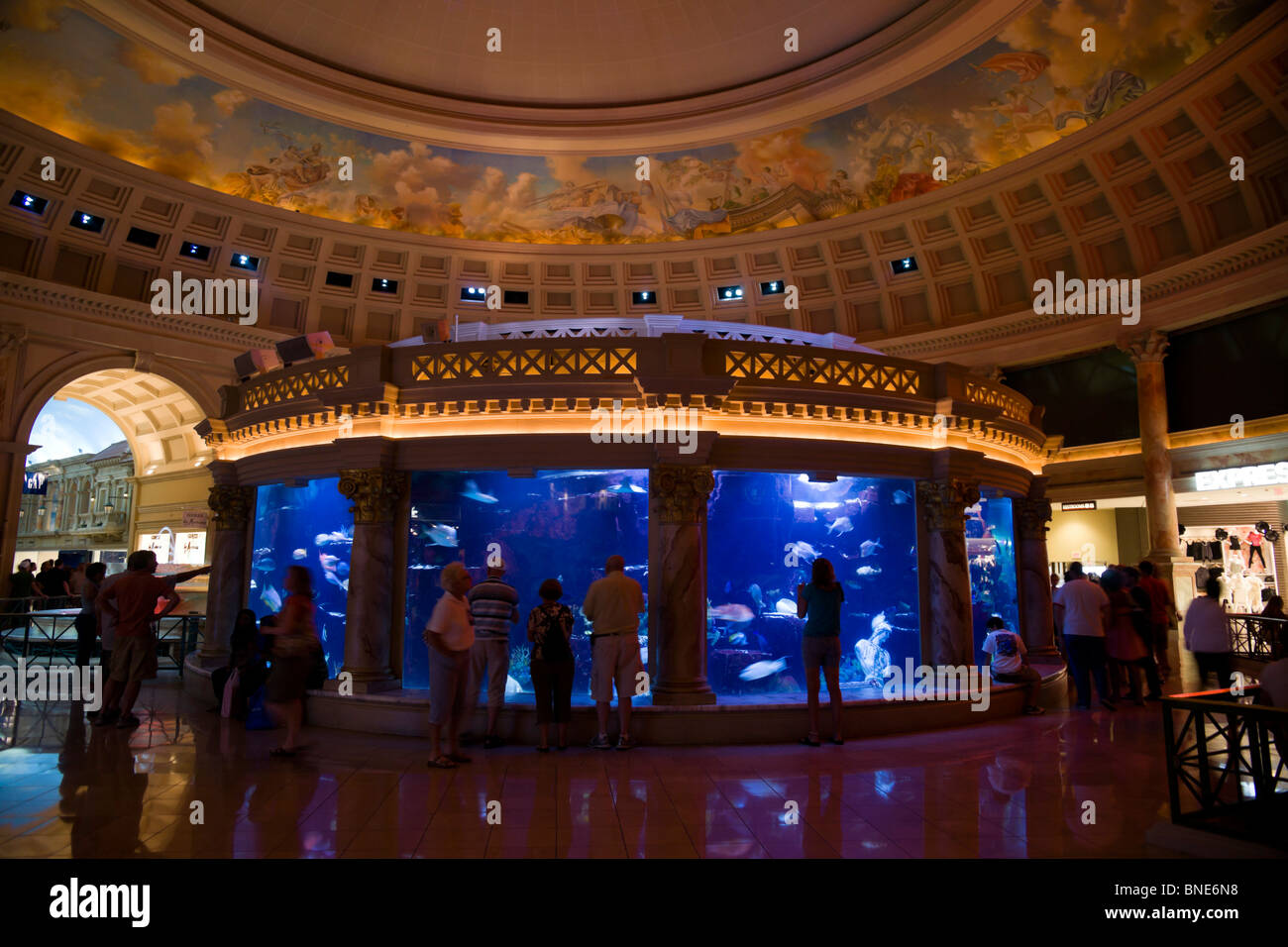 Caesars Palace Hotel Las Vegas Aquarium Im Einkaufszentrum