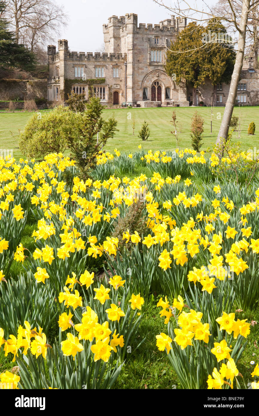 Frühling in Bolton Abbey, North Yorkshire Stockfoto