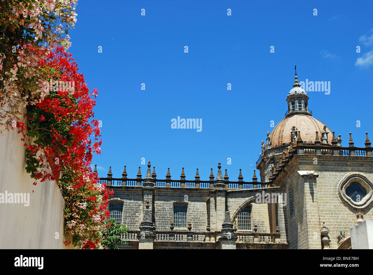 Die Kathedrale, Jerez De La Frontera, Provinz Cadiz, Andalusien, Spanien, Westeuropa. Stockfoto