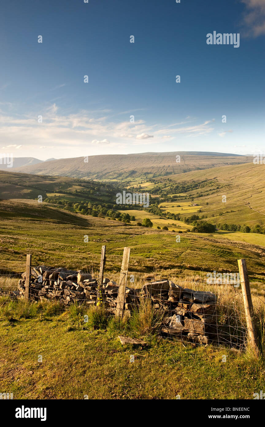 Blick von Whernside Dentdale Weiden. Cumbria Stockfoto