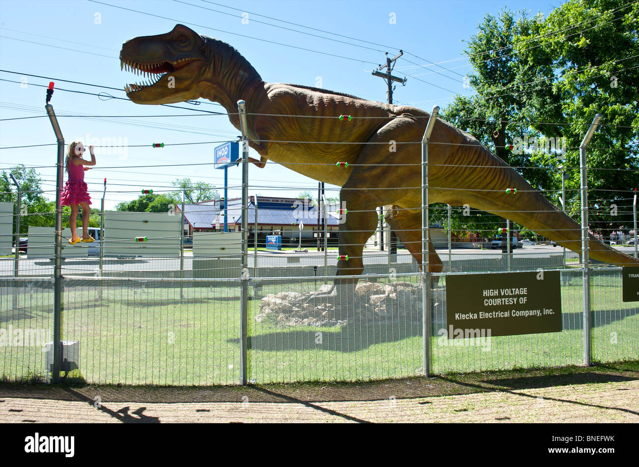 Skulptur der Riese T-Rex vor Witte Museum die Dinosaurier-Ausstellung in San Antonio Texas USA Gehäuse ist Stockfoto