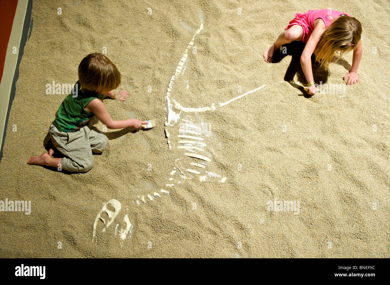 Kinder, die Freilegung der Fossil des Velociraptor in der Witte Museum, San Antonio, Texas, USA Stockfoto
