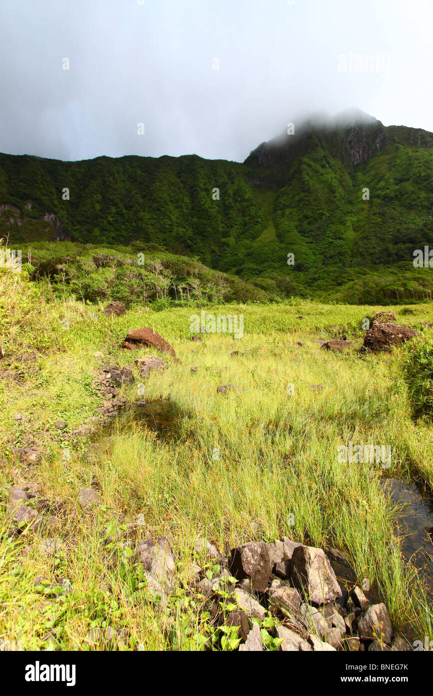 Mount Liamuiga - St. Kitts Stockfoto