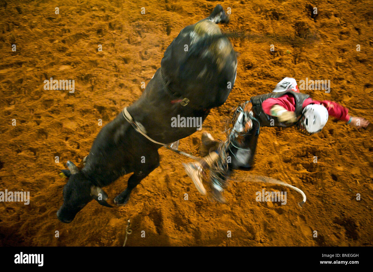 Rodeo Mitglied PRCA springen von Bull auf Smalltown in Bridgeport Texas, USA Stockfoto