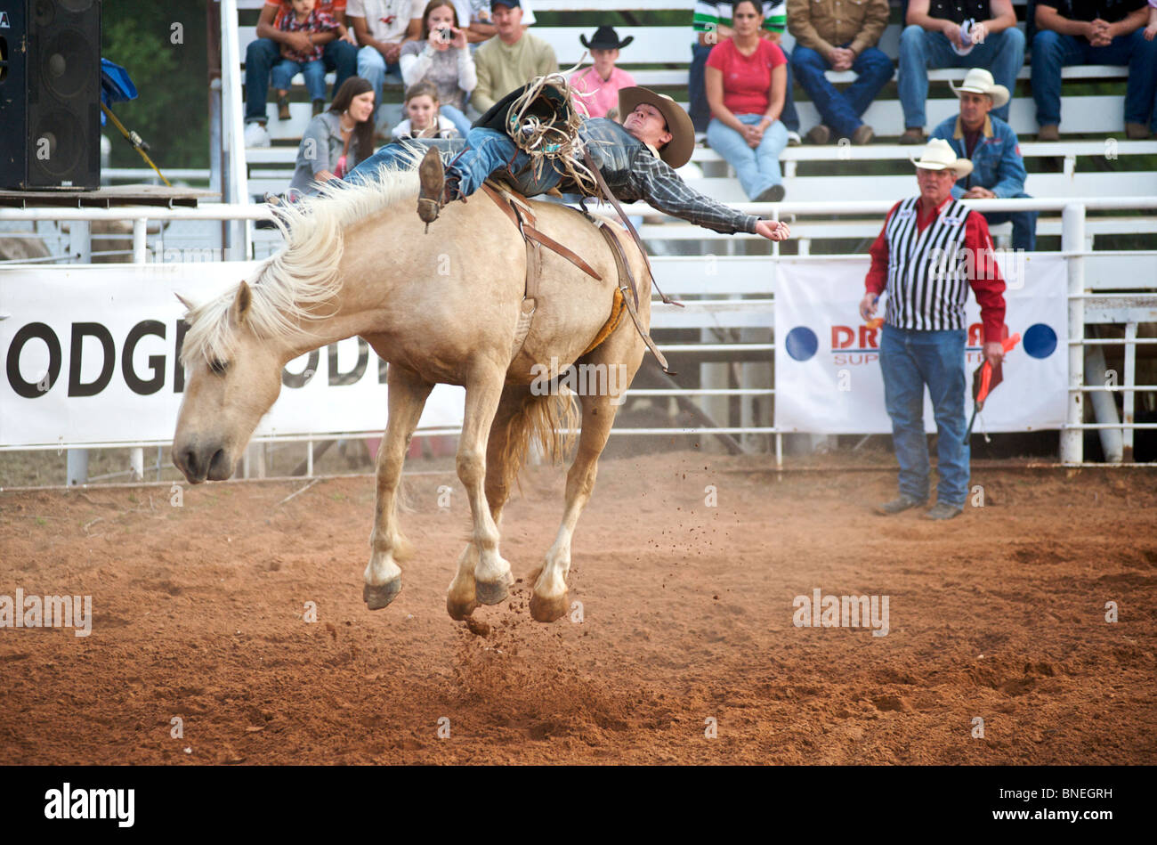 PRCA Rodeo Cowboy Mitglied fällt aus Rückseite Pferd in Smalltown Bridgeport, Texas, USA Stockfoto