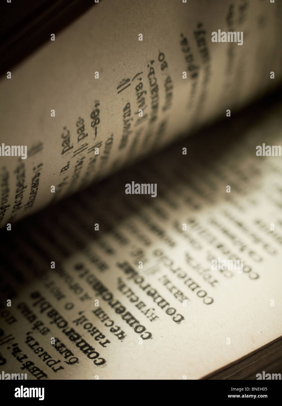 Nahaufnahme des Wortes 'Comerciable' mit einem spot-Licht auf den Text.  Aus dem spanischen übersetzt ins Russische. Stockfoto