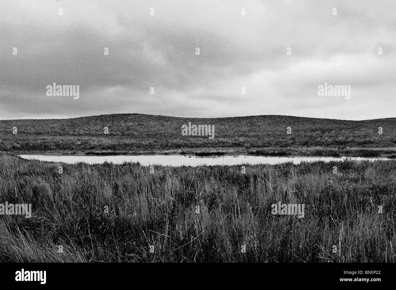 US-Kernland umfasst, "Farmscapes", Ranchland, staubige Straßen, Rasen landet, Rinder, Pferde, rotem Lehm, roten Schmutz und verwüsteten Gebiete Stockfoto