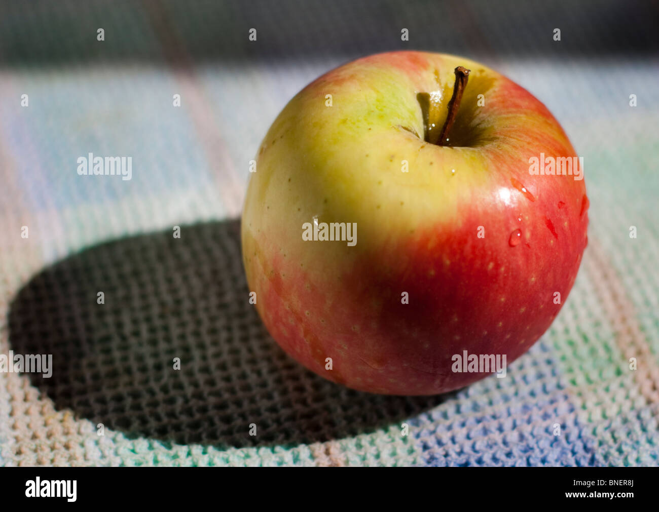 Eine isolierte Cox'S Orange Pippin Apple. Stockfoto