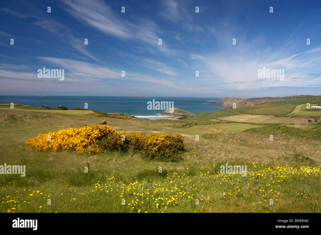 Whitesands Bay und St. Davids Kopf im Frühjahr in der Nähe von St. David's Pembrokeshire West Wales UK Stockfoto